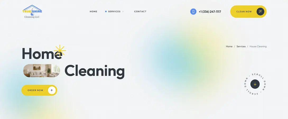 TrueShine Cleaning services overview screen