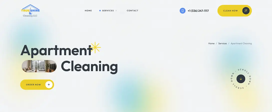 TrueShine Cleaning booking experience walkthrough