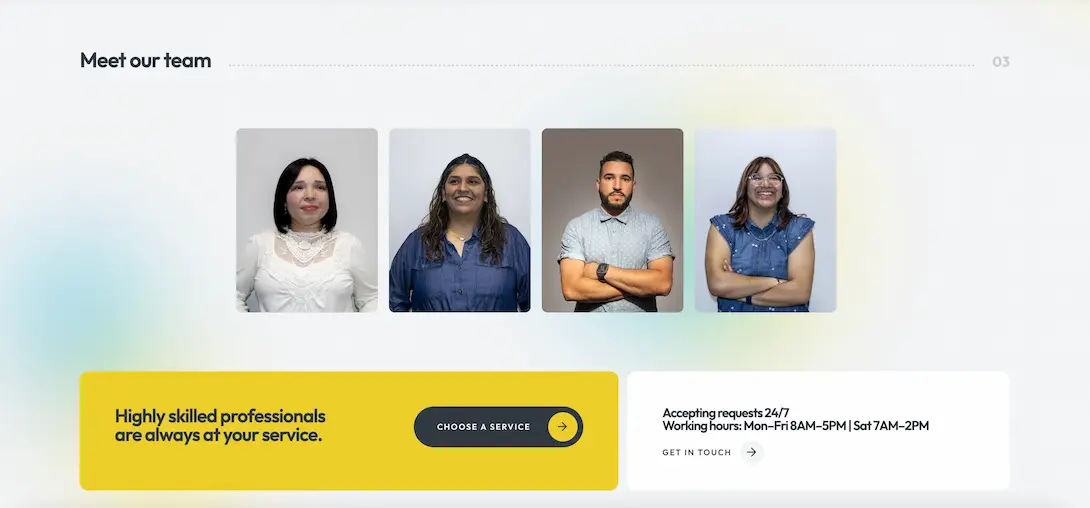 TrueShine Cleaning responsive layout preview