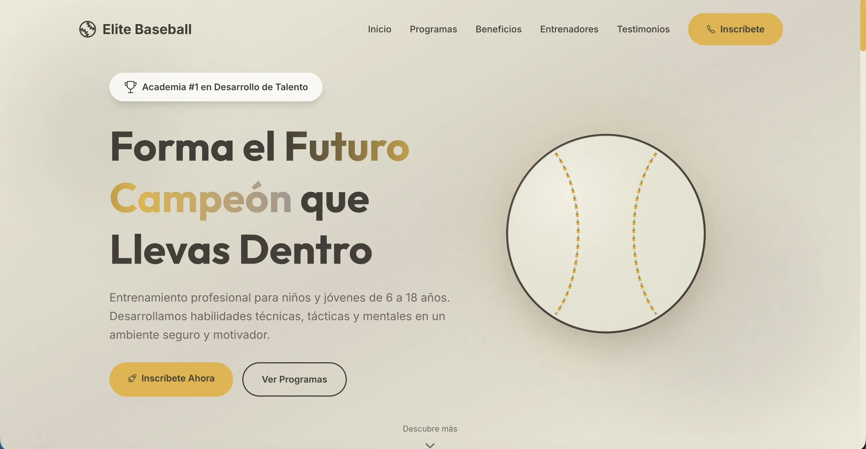 Diseño de ejemplo para academia deportiva
